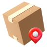 Geolocalization Icon